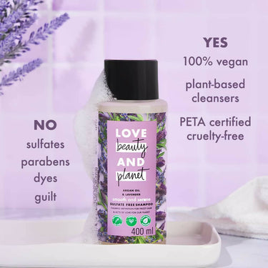 https://cdn.shopify.com/s/files/1/1857/6931/products/f1DTFHbvfT.jpg?v=1674536400